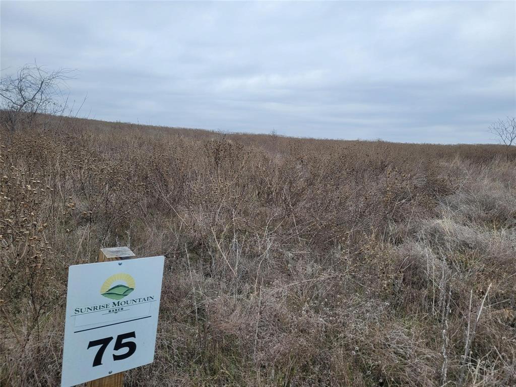 Sunrise Mountain Ranch - Land