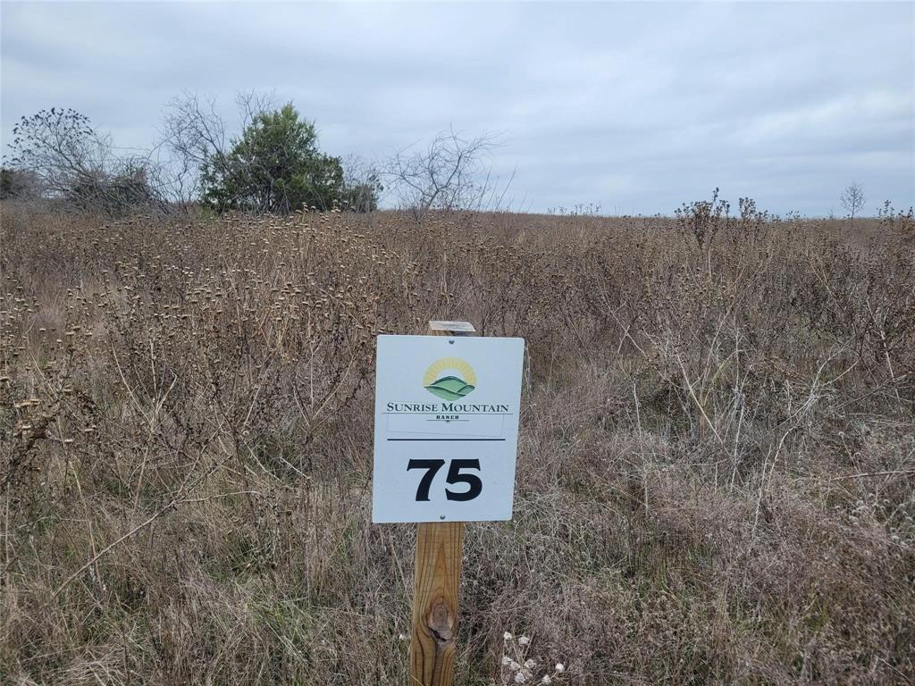 Sunrise Mountain Ranch - Land