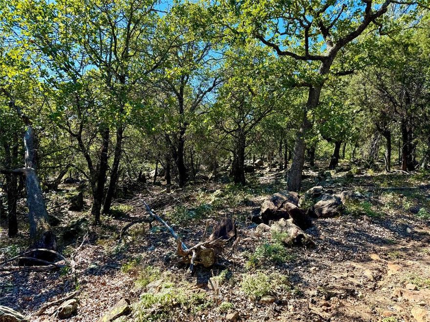 10+ - acres located just North of Mineral Wells in Palo Pinto County. With stunning native grass and scattered oak trees, this ranch offers a picturesque setting. The property features a water well at the front, providing convenient access to water. Perfect for equine activities, this private ranch is an ideal destination for horse enthusiasts or anyone seeking a tranquil country retreat. Additional land is available.