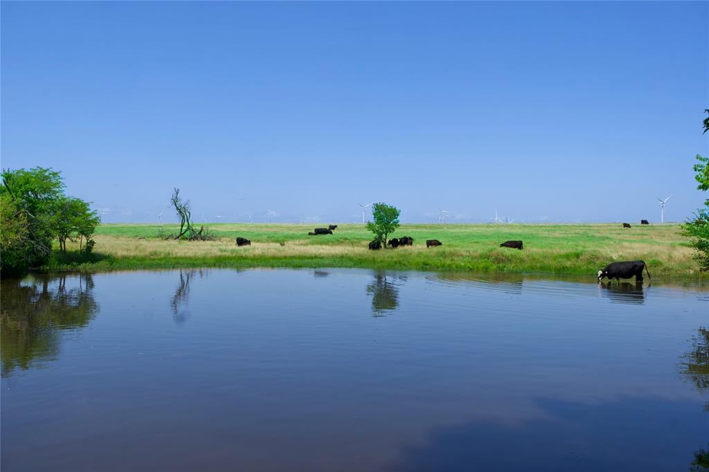 TBD County Road 424 Road