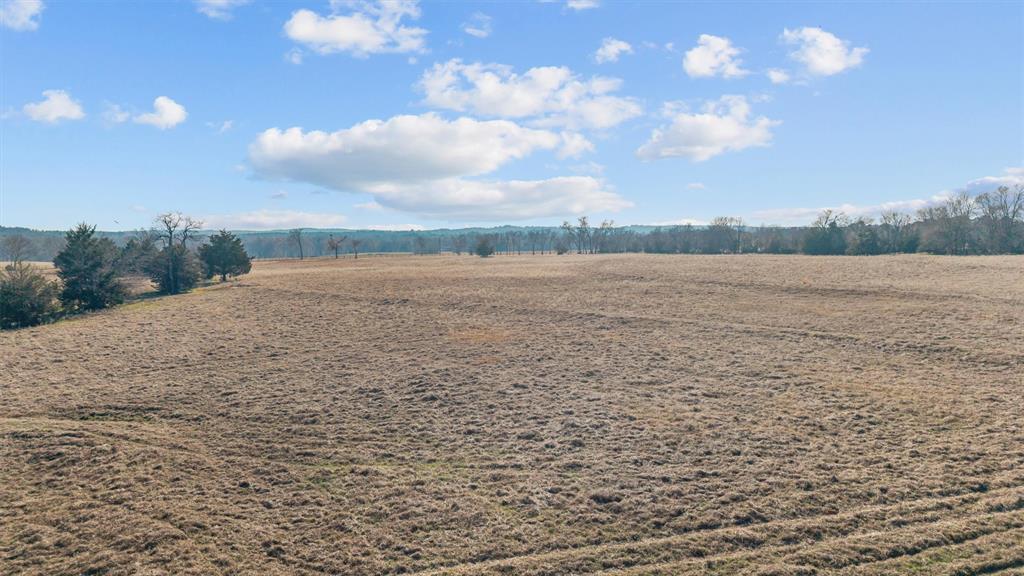 Mary V Lout Surv Abs #556 - Land