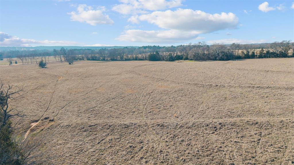 Mary V Lout Surv Abs #556 - Land