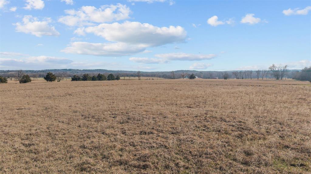 Mary V Lout Surv Abs #556 - Land