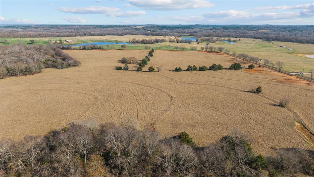 Mary V Lout Surv Abs #556 - Land