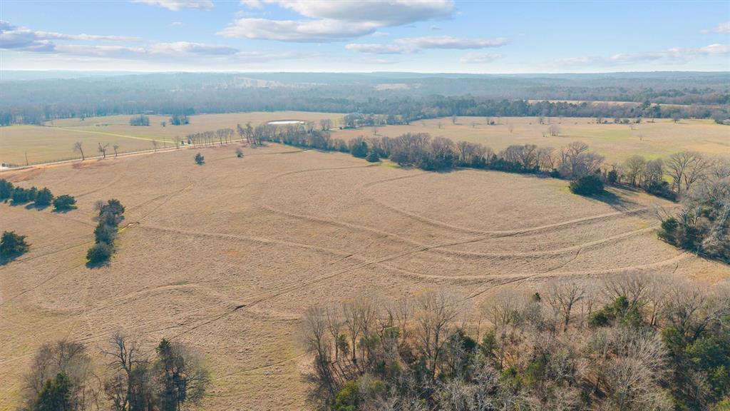 Mary V Lout Surv Abs #556 - Land