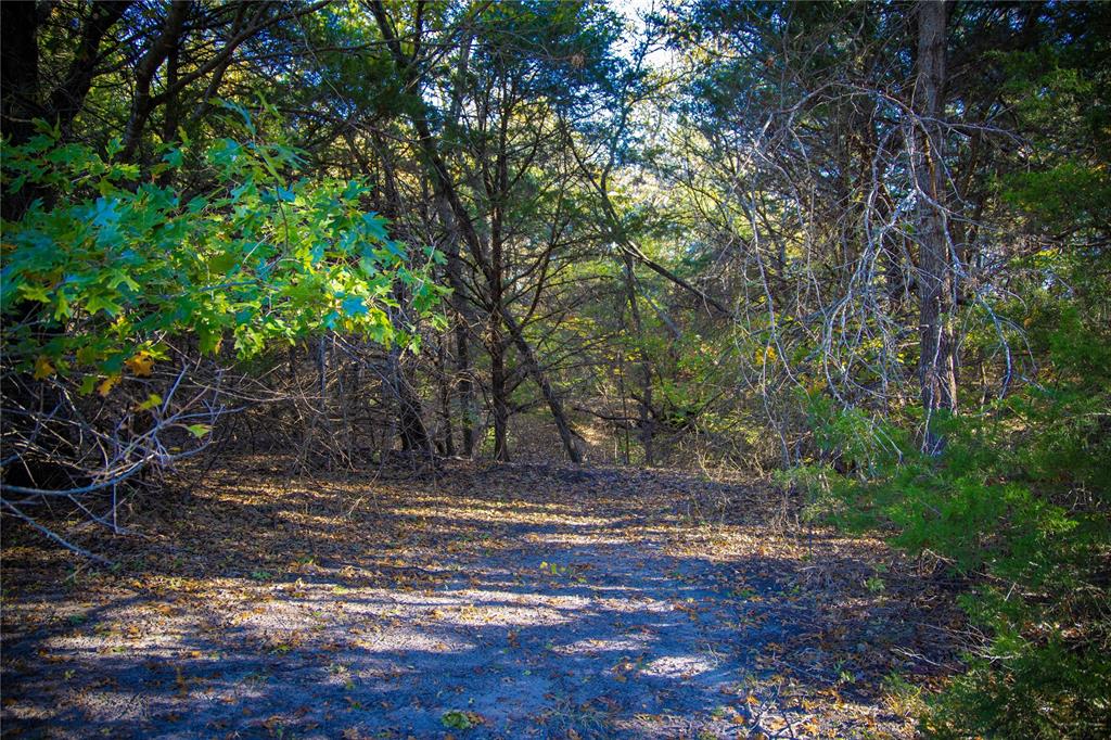 Waggoner Settlement Addition - Farm