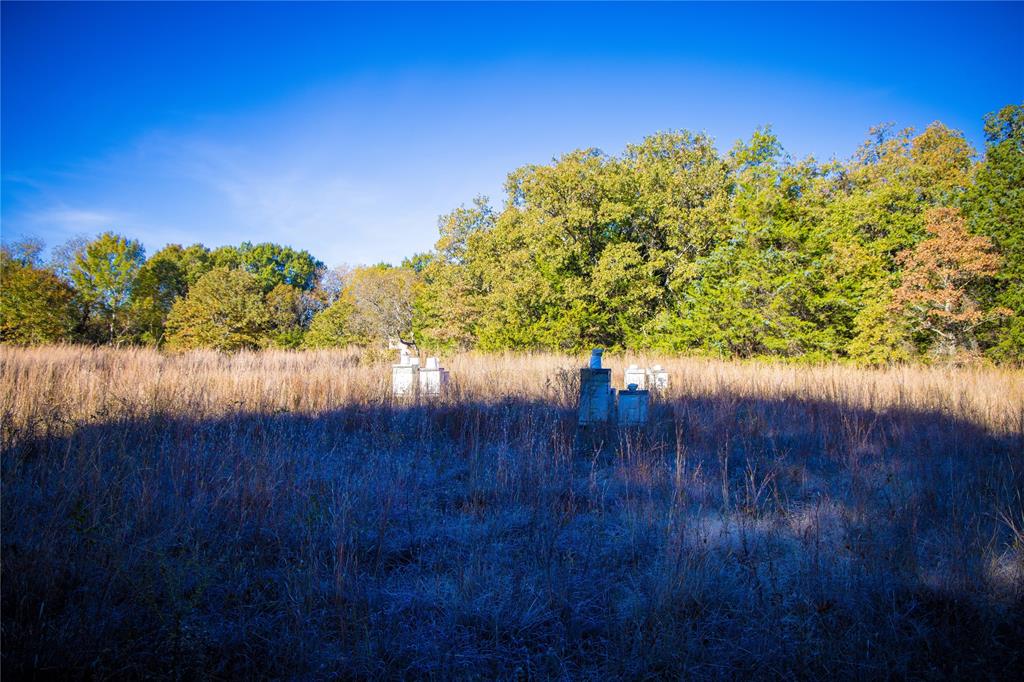 Waggoner Settlement Addition - Farm