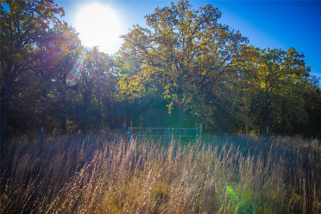 Waggoner Settlement Addition - Farm
