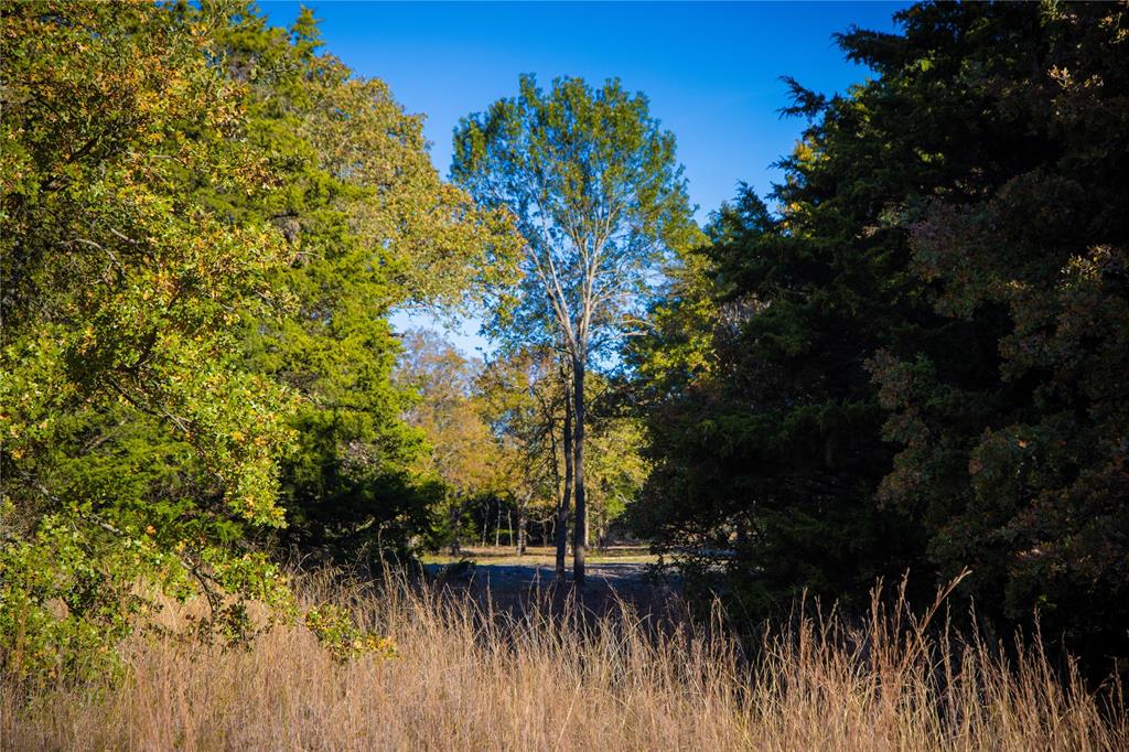Waggoner Settlement Addition - Farm