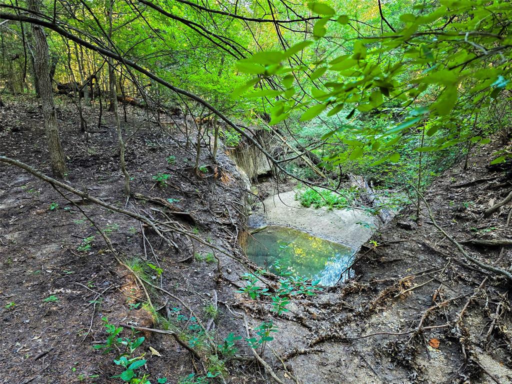 Waggoner Settlement Addition - Farm