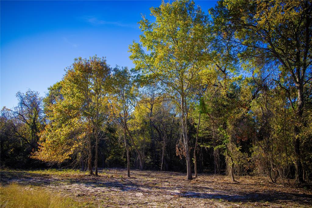 Waggoner Settlement Addition - Farm