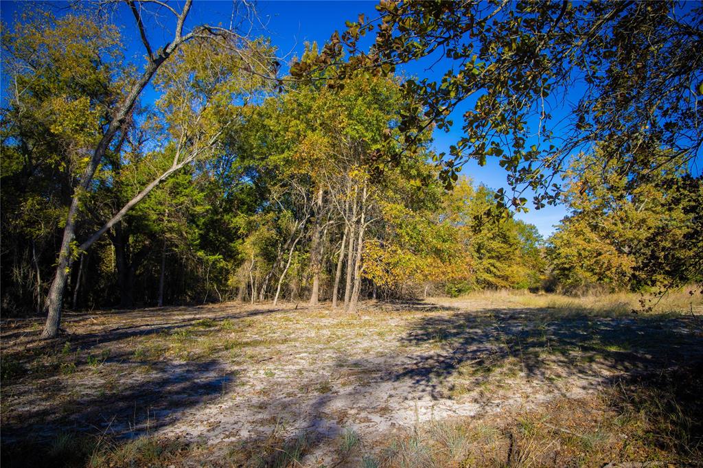 Waggoner Settlement Addition - Farm