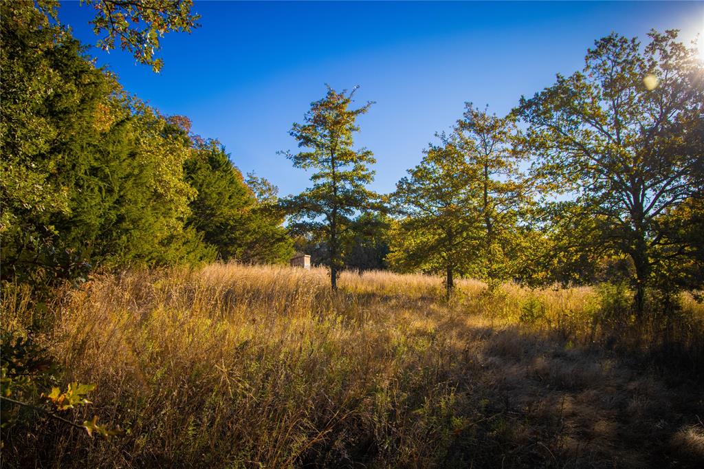 Waggoner Settlement Addition - Farm