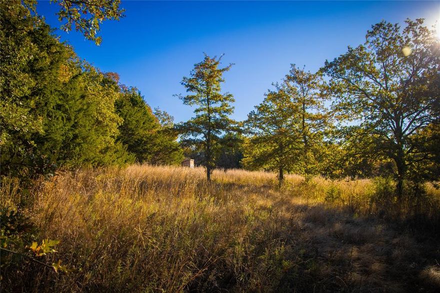 If you’ve been dreaming of land that truly feels like the country but keeps you close to Decatur, this is it. Located in Waggoner Settlement Addition, this 25+ acre tract offers the perfect blend of privacy, beauty, and convenience. The land features rolling terrain with multiple upland build sites surrounded by native hardwoods and open views. Recent land clearing has really opened things up allowing for more usable space. Along the back, the property borders Catlett Creek where mature oak trees tower above a natural spring tucked into the landscape. Deep creek bottoms, large hardwoods, and varied elevation provide both scenery and abundant wildlife. It’s the ideal setting for a dream home, weekend retreat, or investment. Bee hives have been used in working towards establishment of an agricultural exemption for taxes. Enough history for use of ag with bees will be established in 2027 for 20 acres that in return will greatly reduce taxes. Peaceful, secluded, and only minutes from town—come see what makes this piece of North Texas so special.
