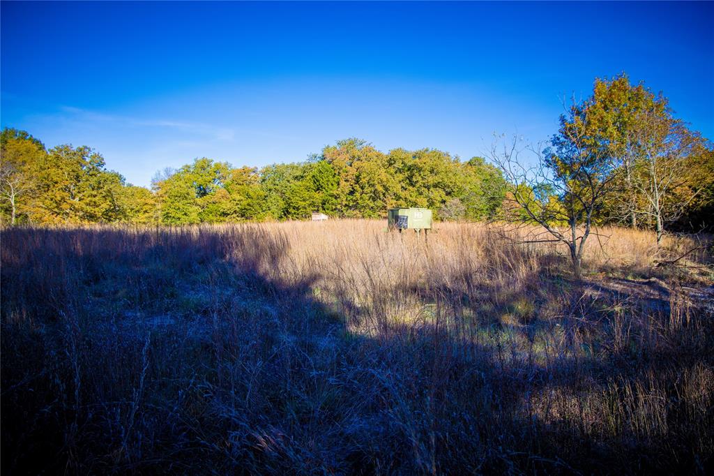 Waggoner Settlement Addition - Farm