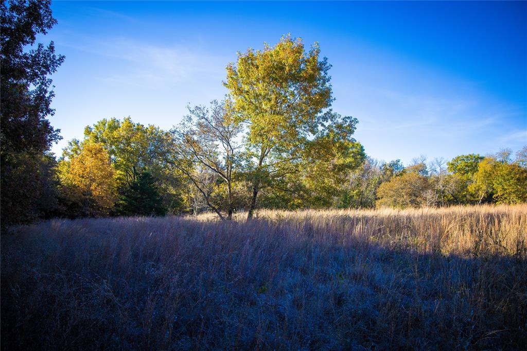 Waggoner Settlement Addition - Farm