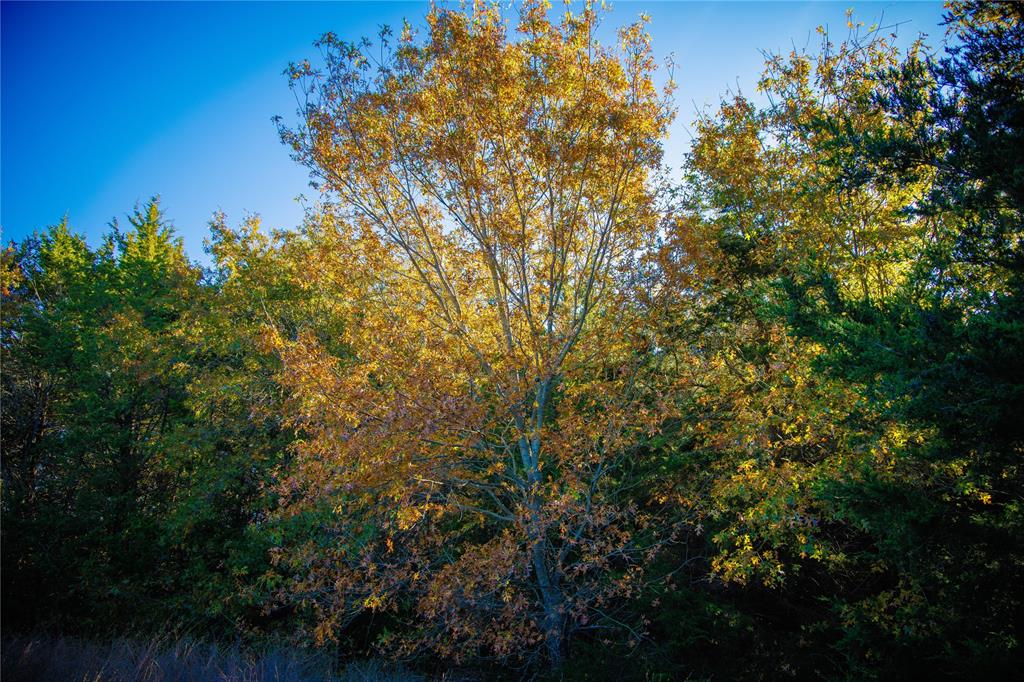 Waggoner Settlement Addition - Farm