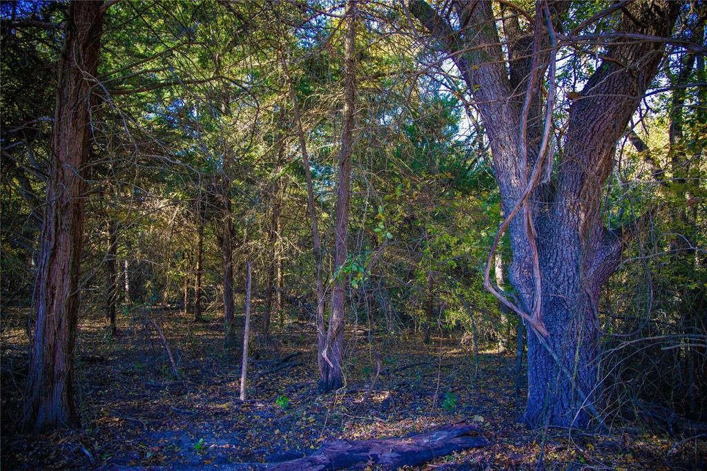 Waggoner Settlement Addition - Farm