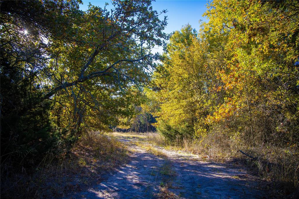 Waggoner Settlement Addition - Farm