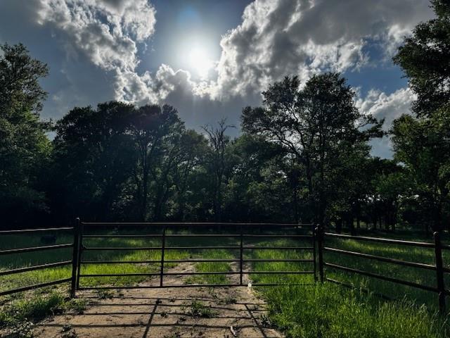 tbd CR 1000 County Road 1000 Road