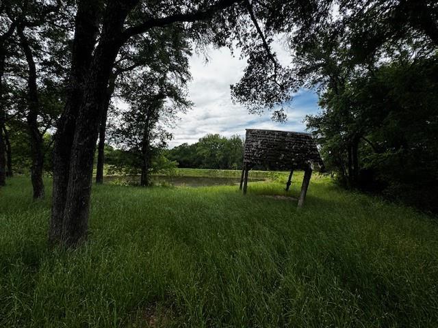 tbd CR 1000 County Road 1000 Road