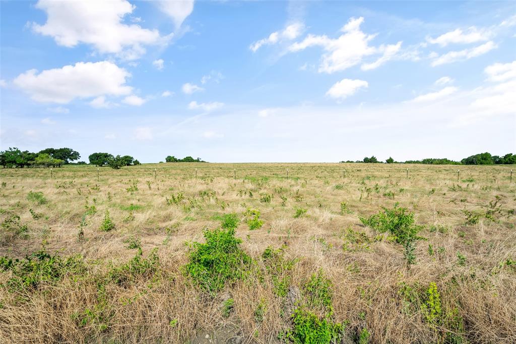 William Holmes Surv Abs #374 - Land