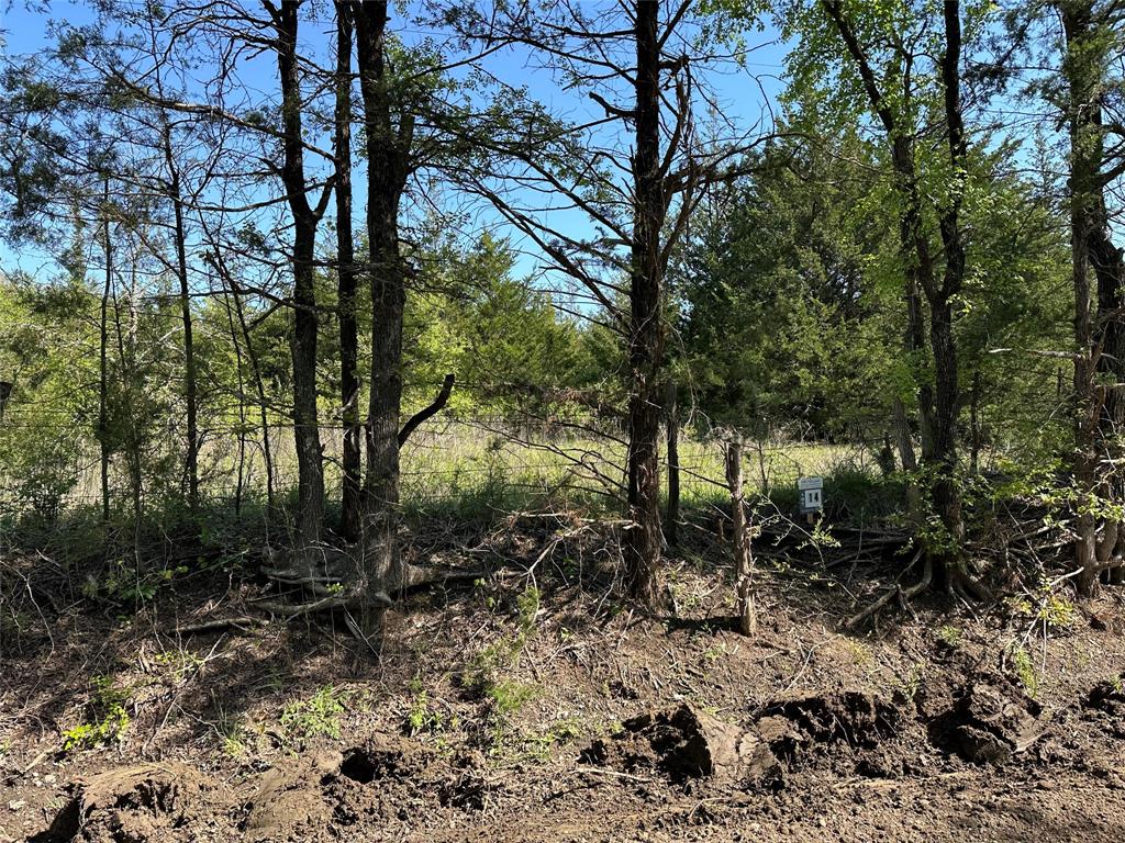 Tract 14 County Road 2951