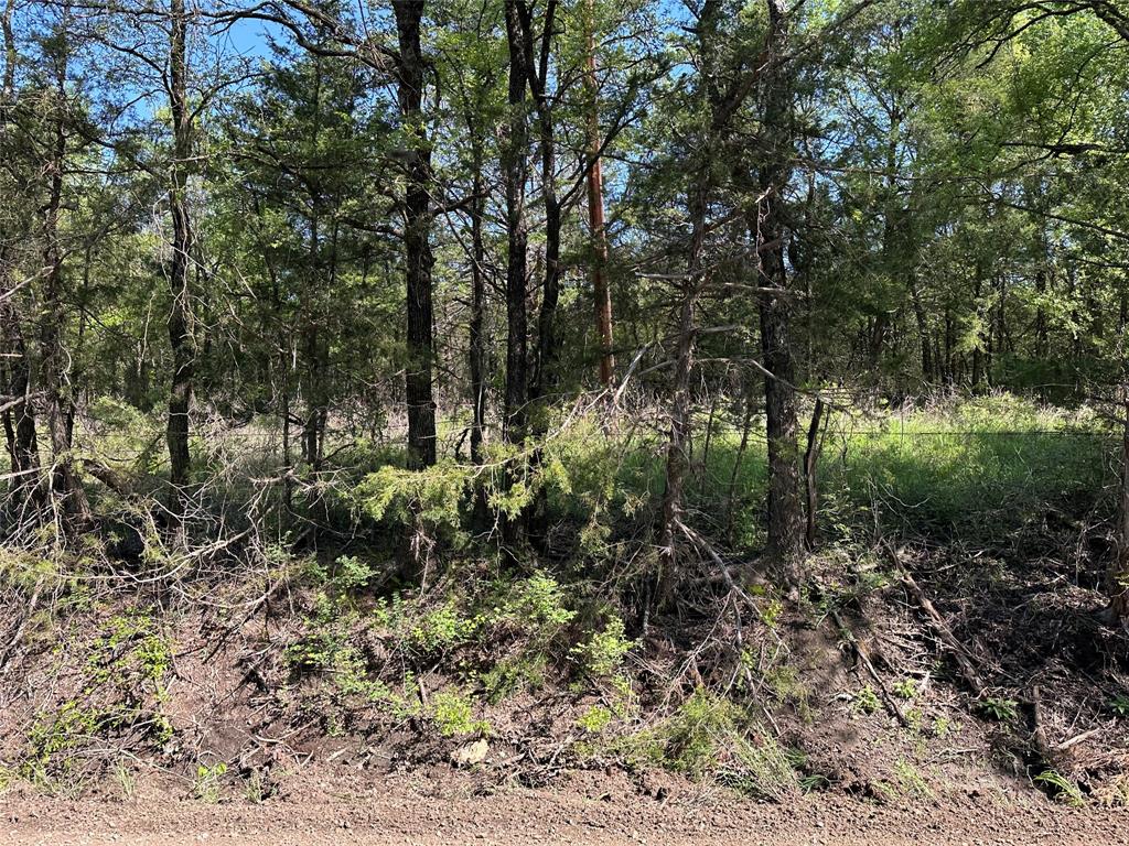 Bois D'Acre Lake Estates - Land