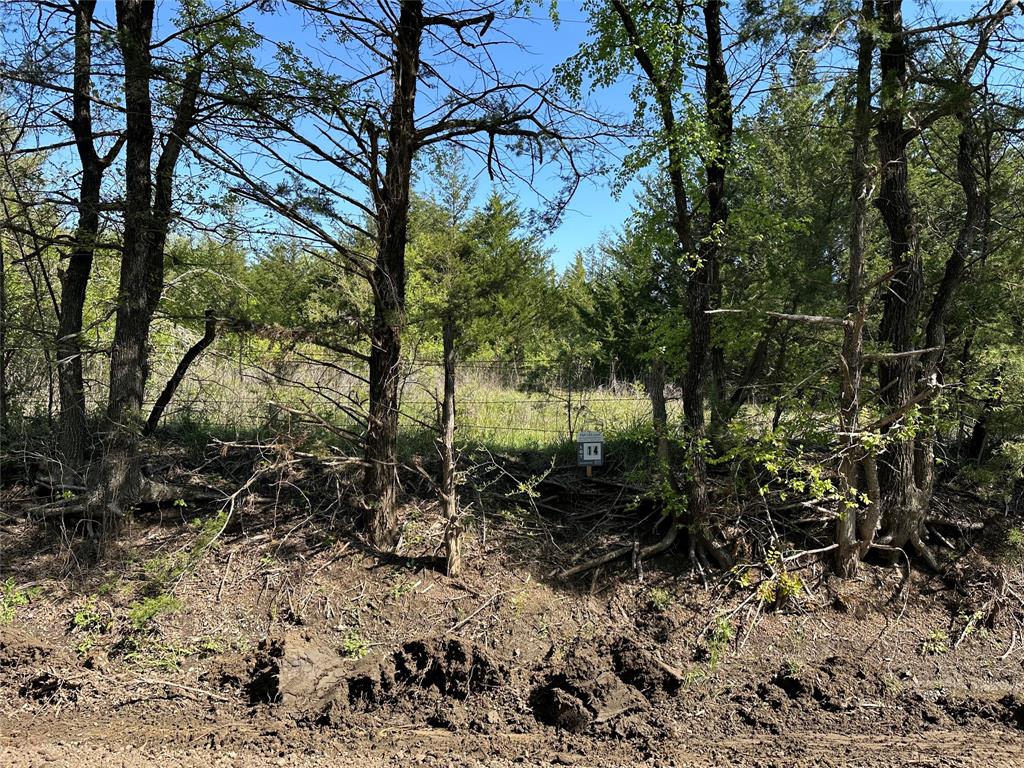 Tract 14 County Road 2951