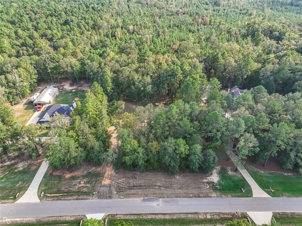 517 Daley Drive