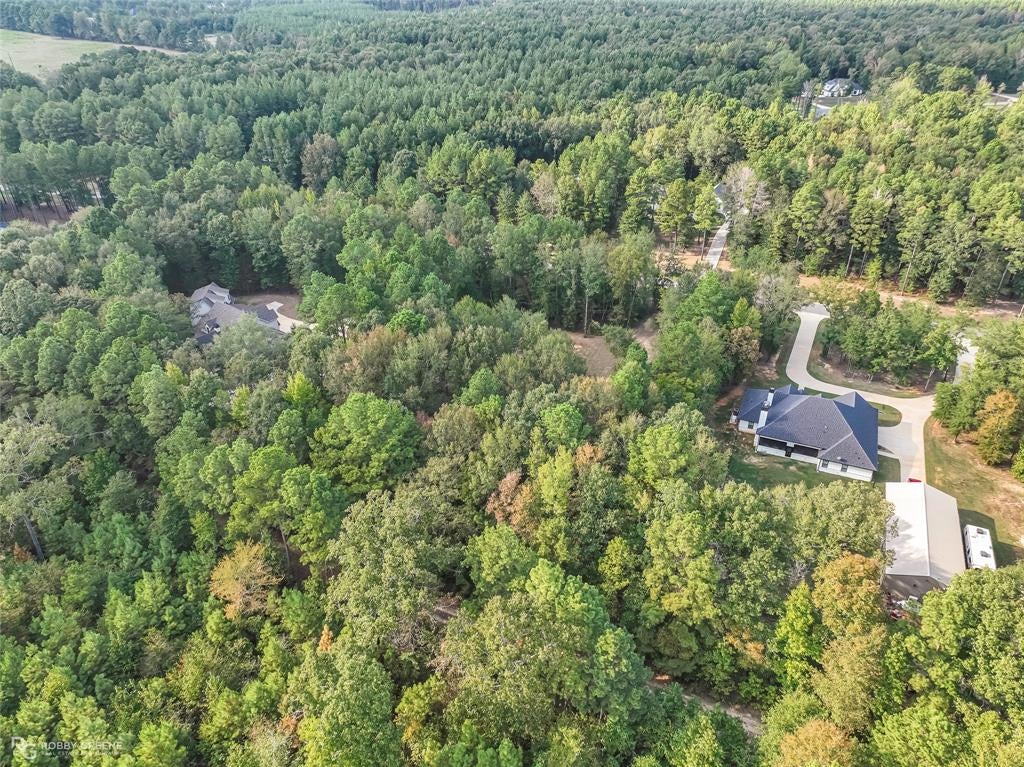 517 Daley Drive