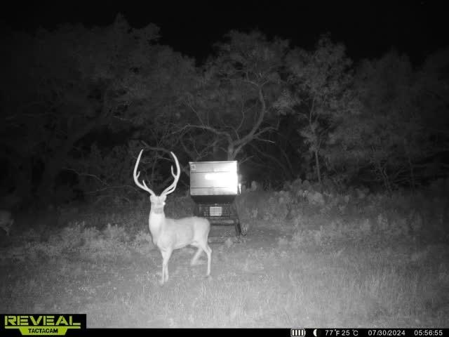 Bartling H - Farm