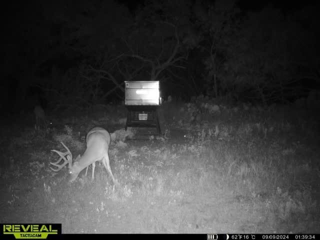Bartling H - Farm