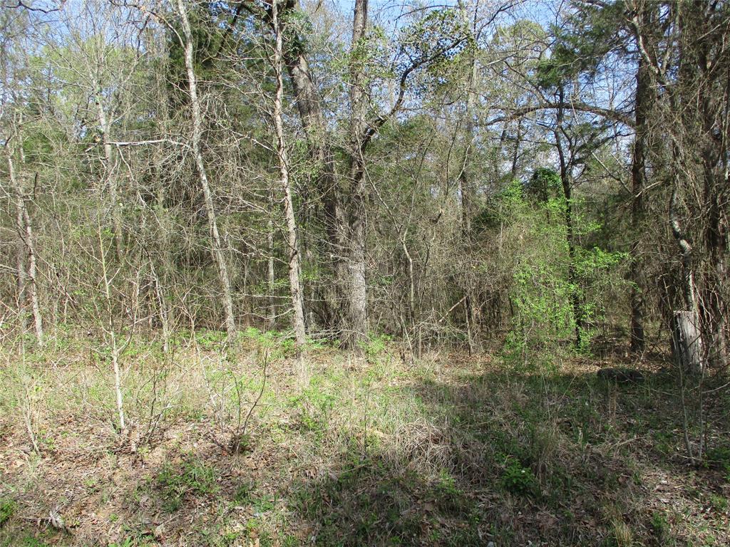 Photo 1 of 2 — TBD County Road 2958, Alba, TX 75410