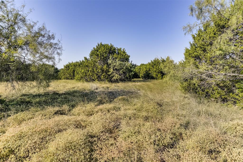 White Bluff #01 - Land