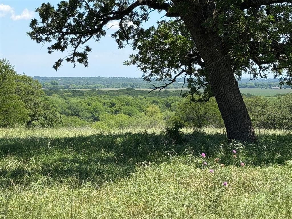 Photo of 2041 FM933, Aquilla, TX 76622 (MLS # 21268651)