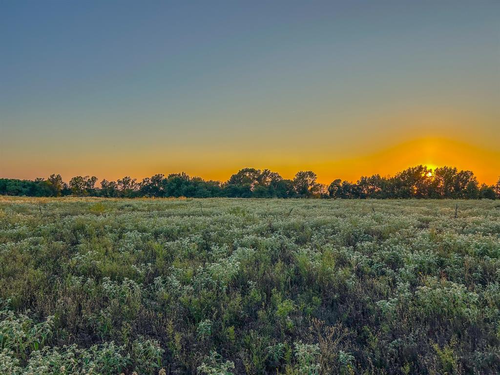 0 County Road 2317