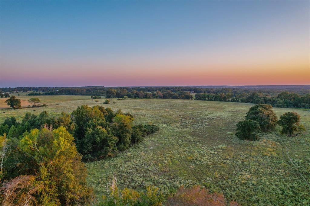 0 County Road 2317
