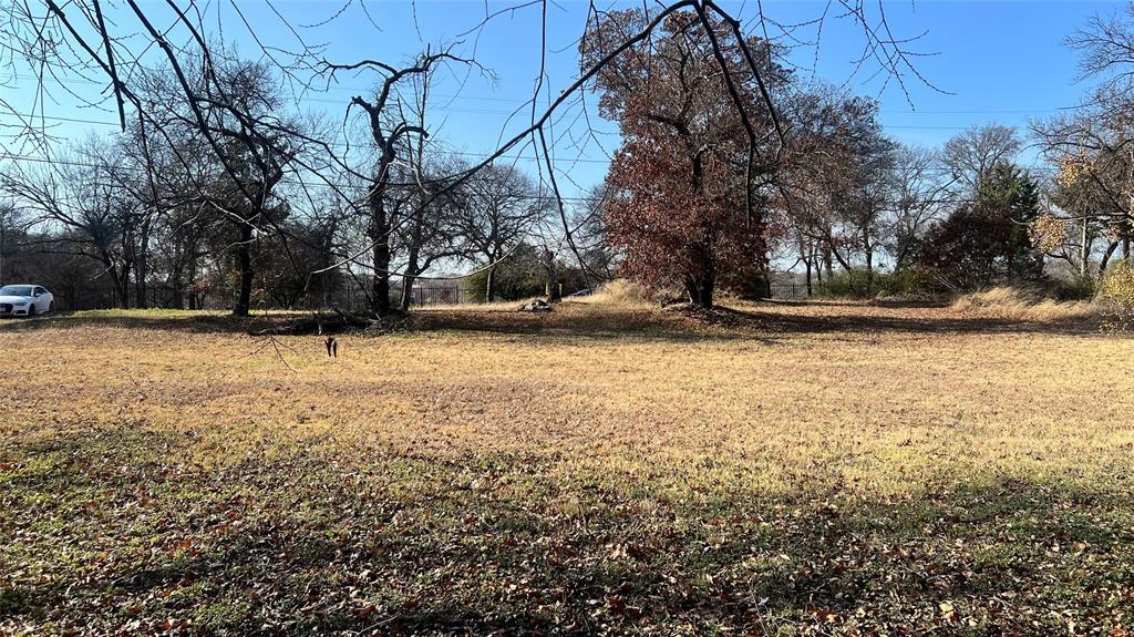 Pearl Porterfields - Land