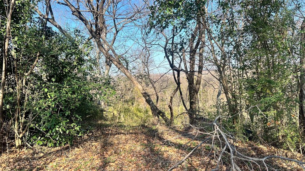 Pearl Porterfields - Land