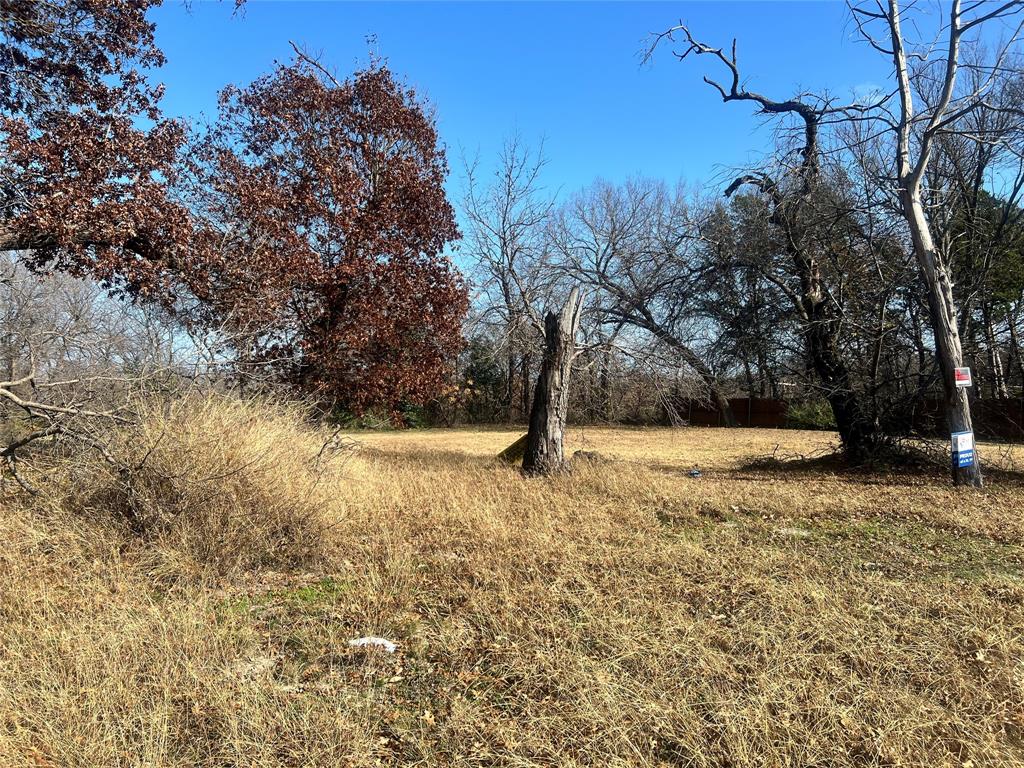 Pearl Porterfields - Land