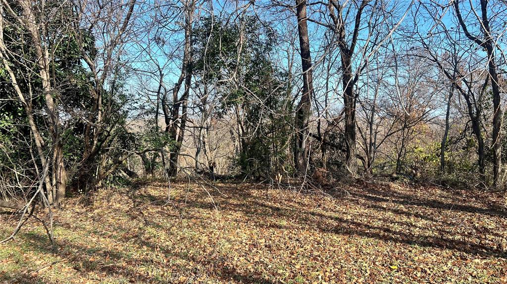 Pearl Porterfields - Land