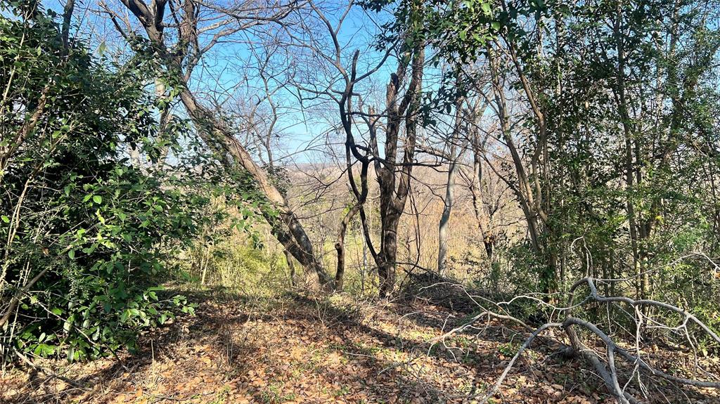 Pearl Porterfields - Land