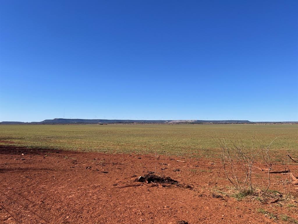 TBD County Road 365