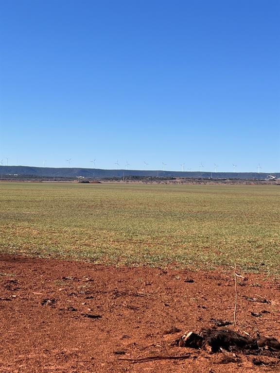 TBD County Road 365