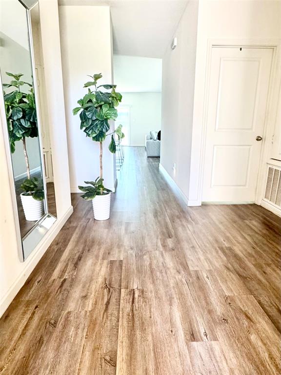 5300 Shady Springs Trail