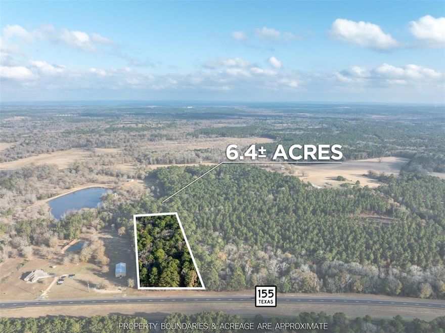 Check out this approximately 6.4 acre tract on State Hwy 155, just north of historic Palestine, TX! The mature trees provide privacy andseclusion on this perfectly sized tract, to build your retreat in the middle of nature! Enjoy the close proximity to the amenities of Palestine,Frankston, & Tyler - in the heart of the hills and trees of East Texas.