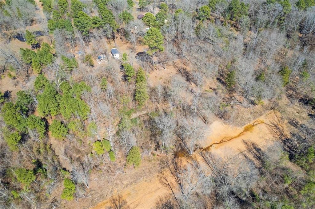 Piney Woods Estates - Land