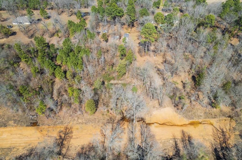 Piney Woods Estates - Land