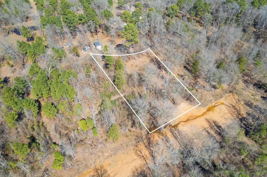 Piney Woods Estates - Land